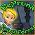 online Feyruna Memo game
