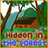 play online Hidden in the Forest game